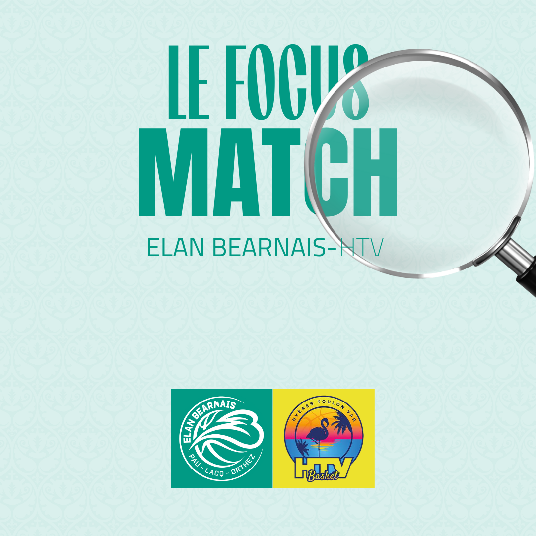 le focus article