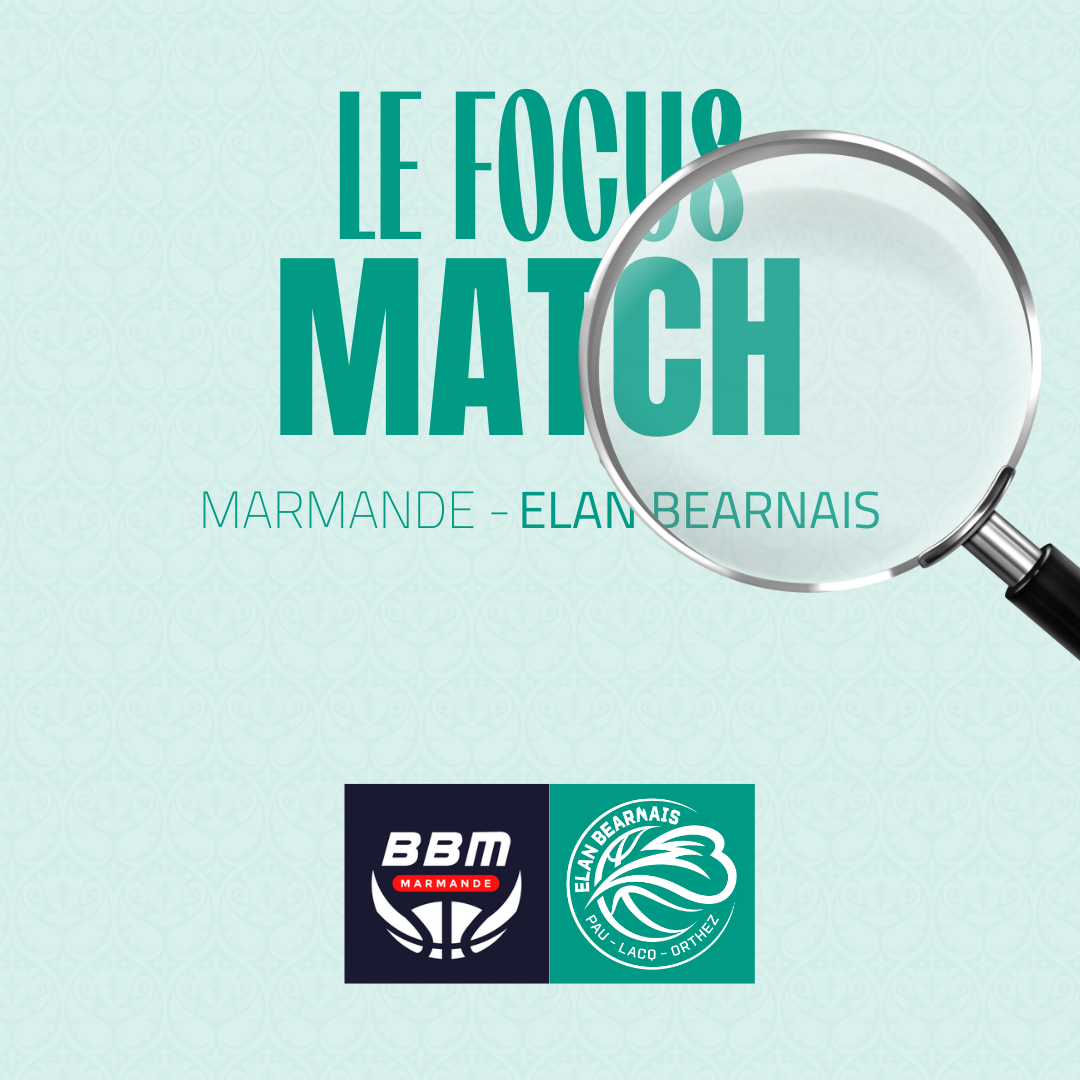 LE FOCUS